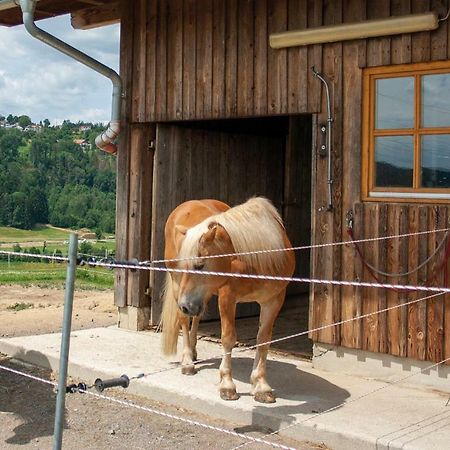 Ferienwohnung Dichtl Grafenau  Dış mekan fotoğraf